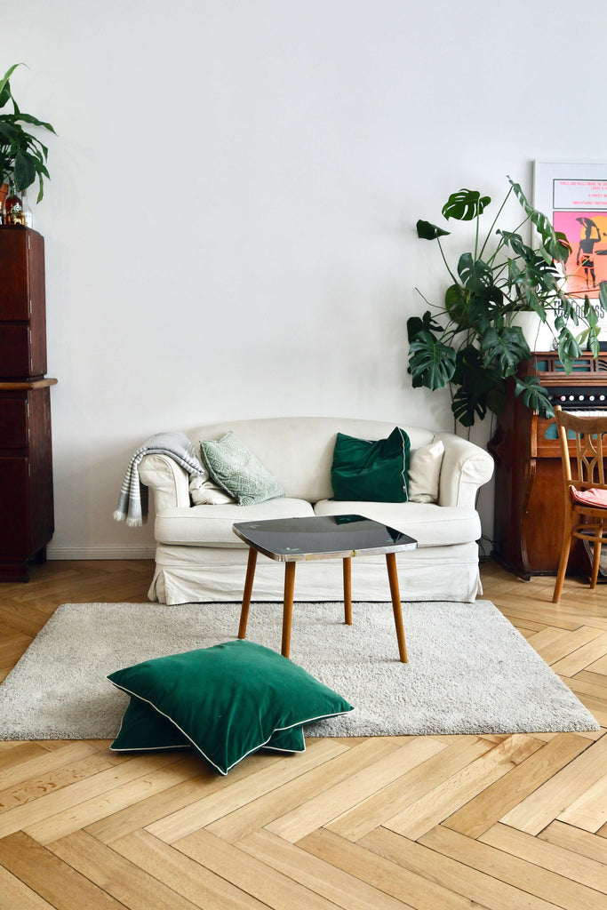 Cozy living room featuring a light couch, green pillows, a wooden table, and indoor plants.