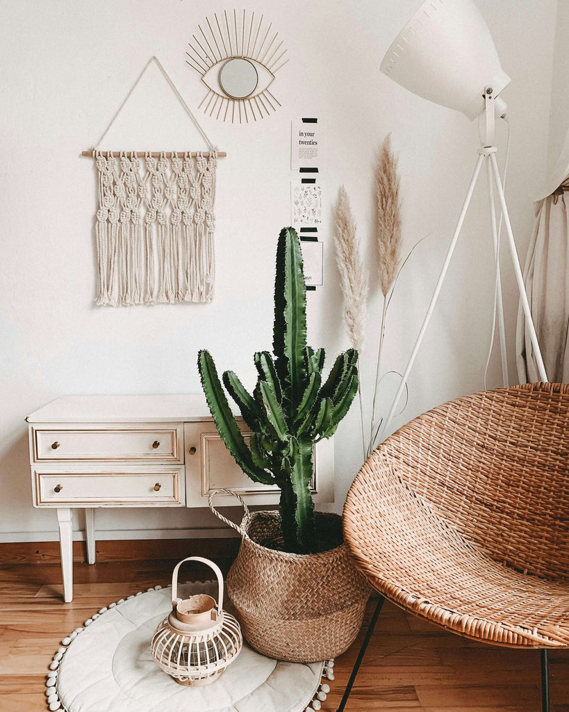 Cozy small space featuring a macrame wall hanging, cactus, rattan chair, and decorative elements for stylish functionality.